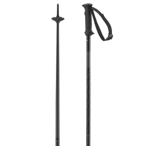 POLAR ACCESS SKI POLES