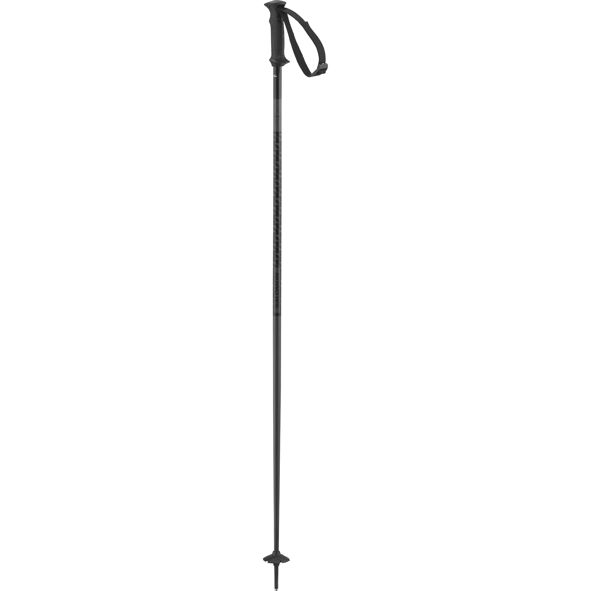 POLAR ACCESS SKI POLES