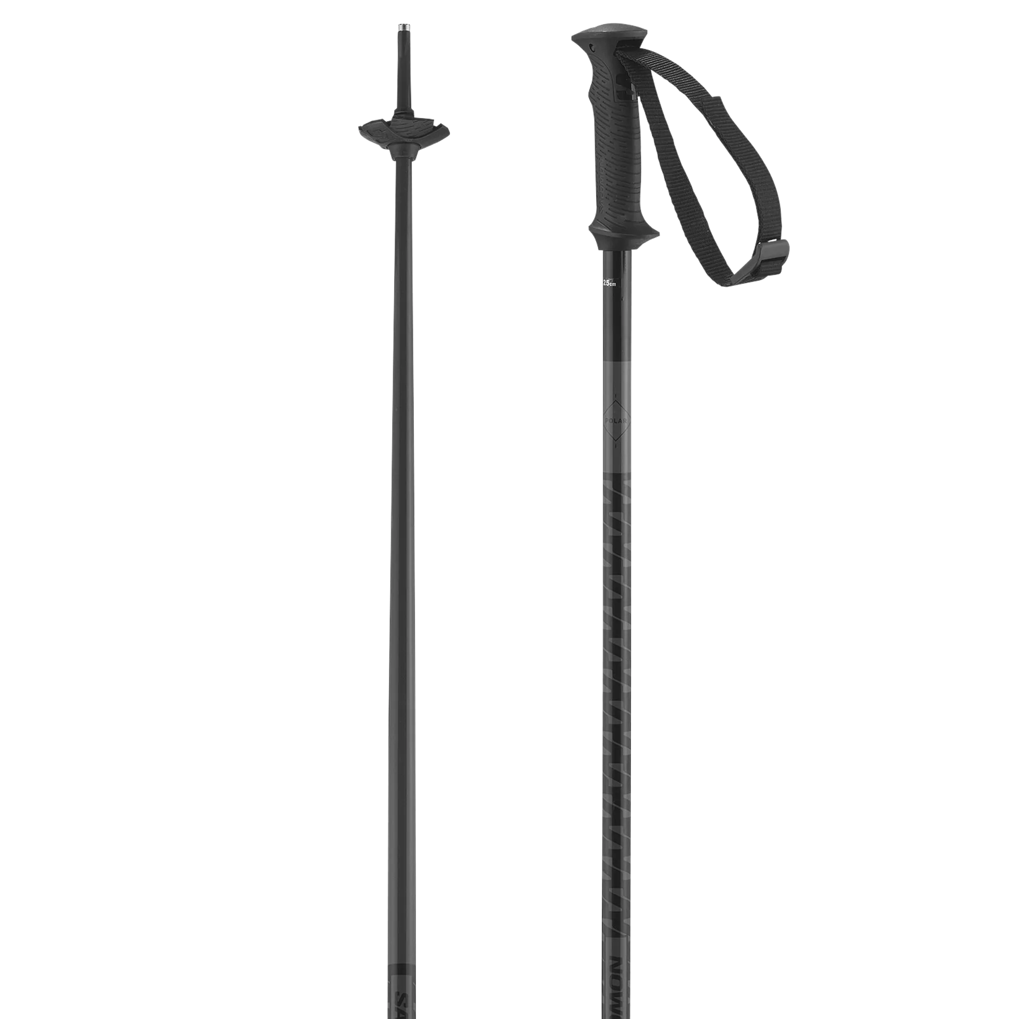 POLAR ACCESS SKI POLES