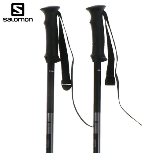 Salomon Arctic Poles