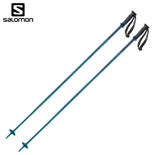 Salomon Arctic Poles