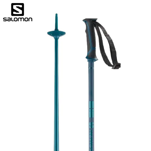 Salomon Arctic Poles