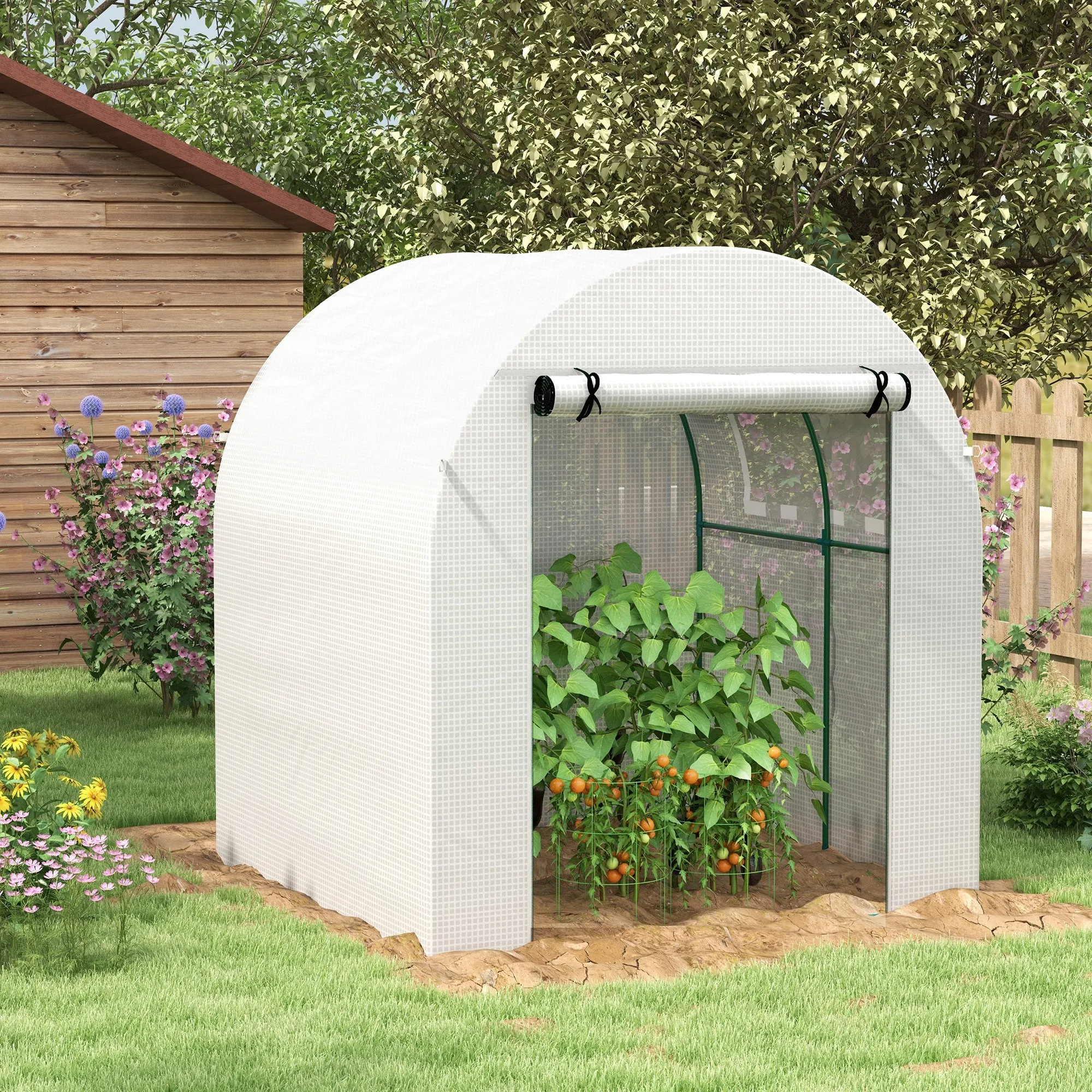 Walk in Polytunnel Greenhouse, Green House for Garden with Roll-up Window and Door, 1.8 x 1.8 x 2 m, White