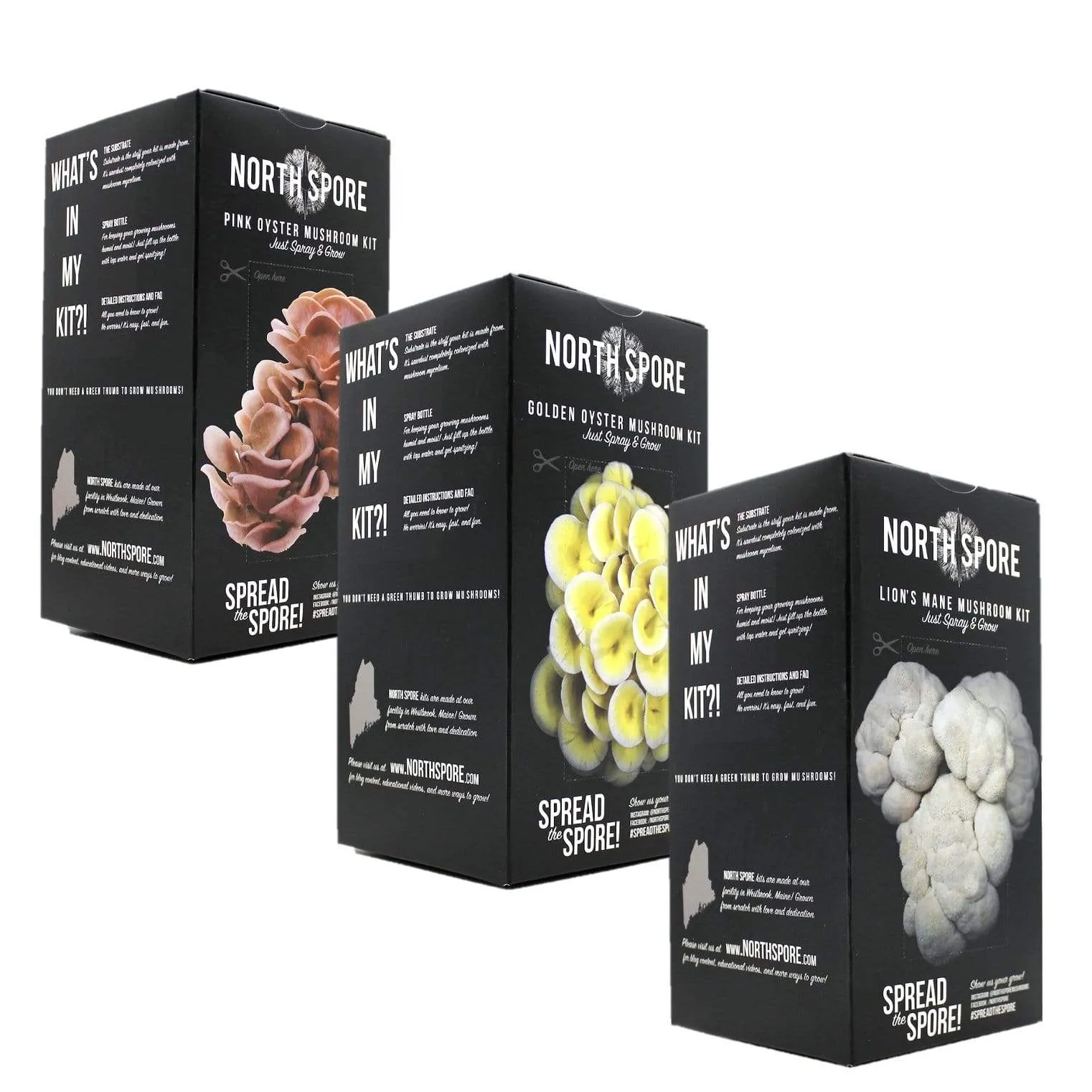 Wholesale | Organic 'Spray & Grow' Mushroom Kits