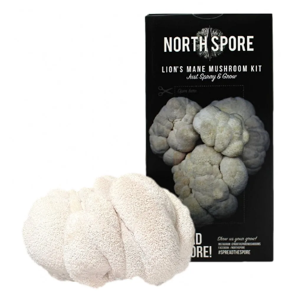 Wholesale | Organic 'Spray & Grow' Mushroom Kits